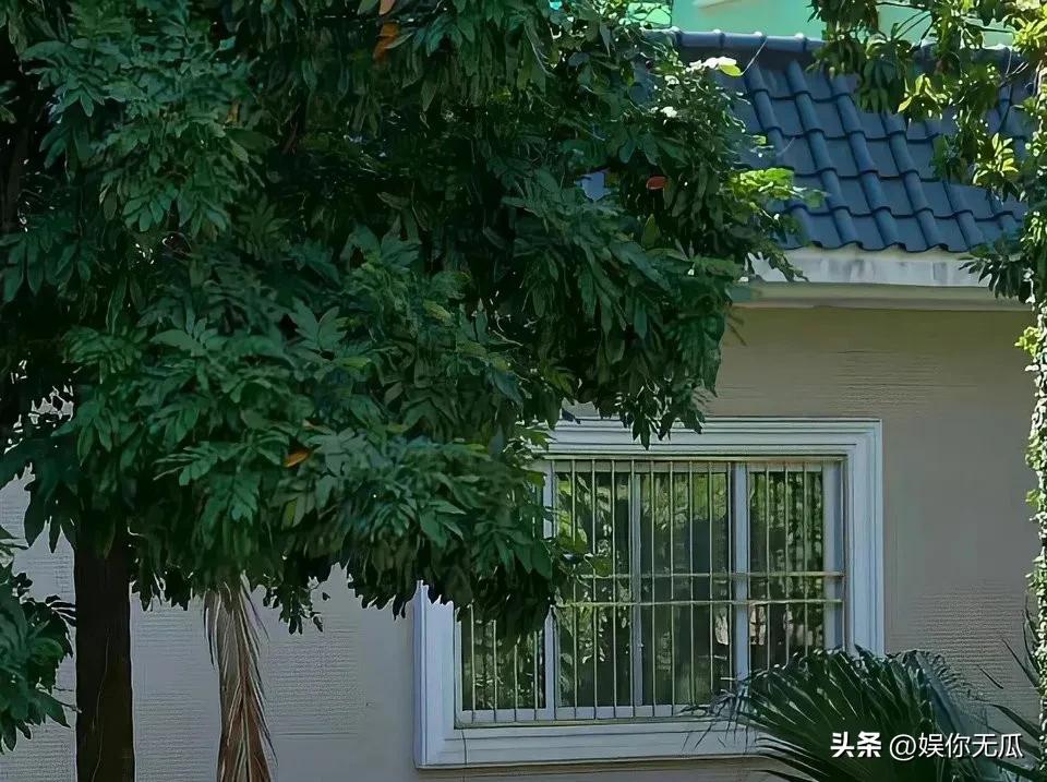 快来看看我新换的主页背景吧