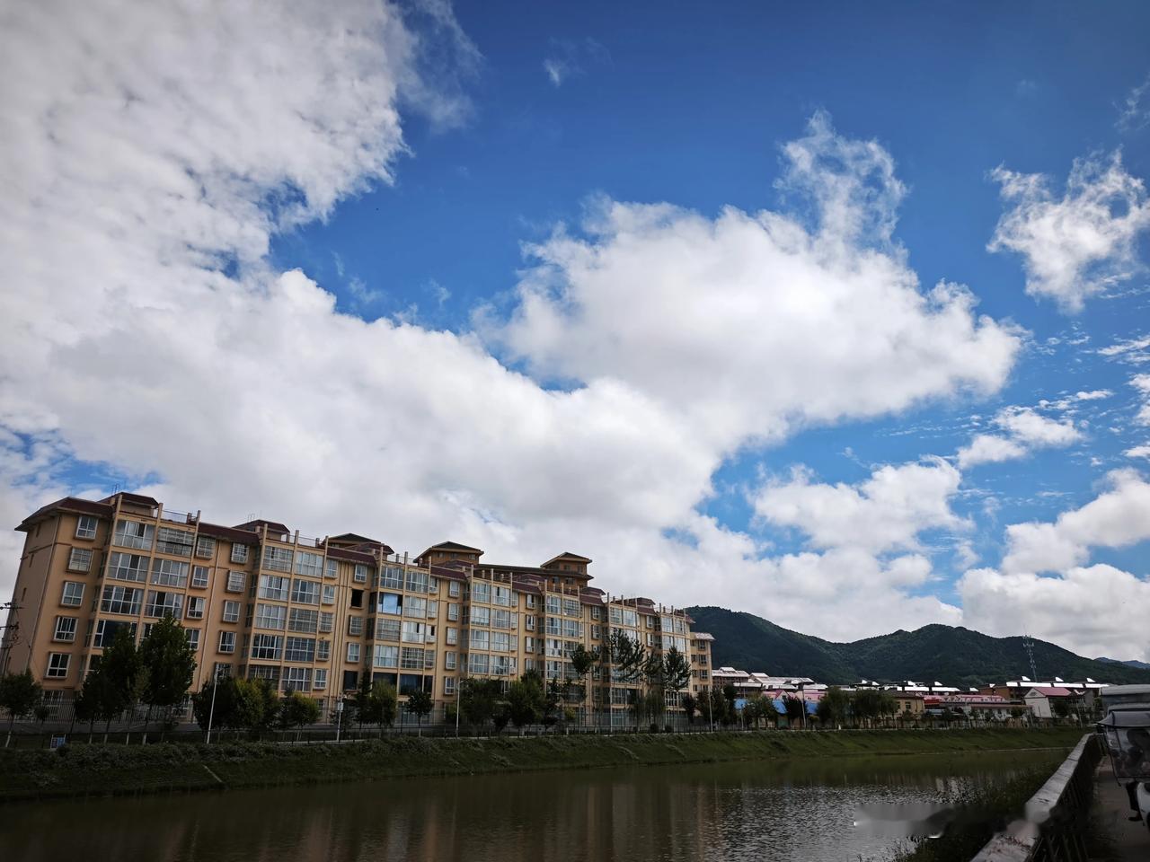 今日随手拍太白的蓝天白云十分养眼，摄影师拍彩虹，小宝拍下他们专注的瞬间，这朵花以
