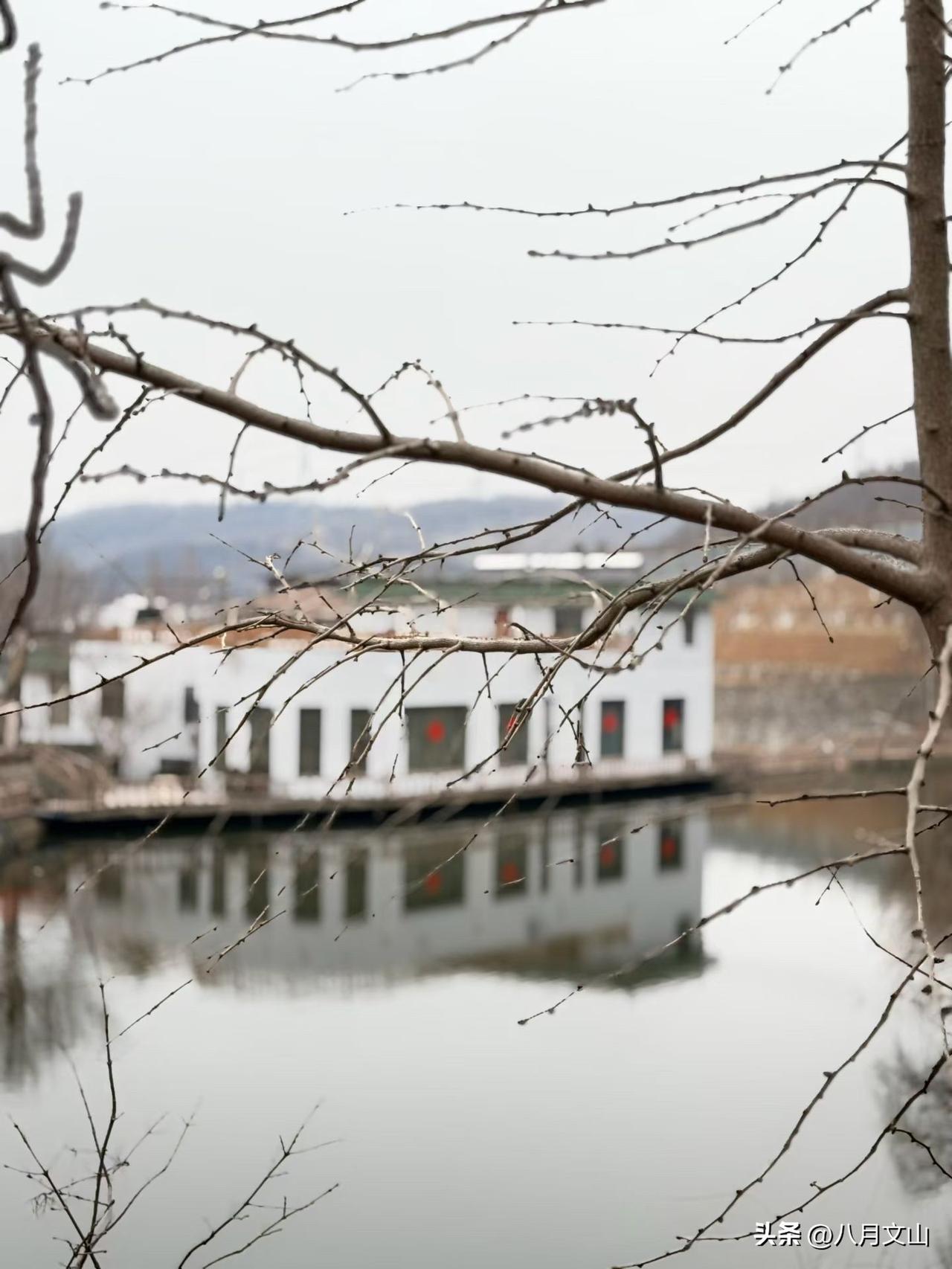 最近总刷到各种“月入十万”“躺赚项目”，点进去要么是割韭菜，要么门槛高到普通人根