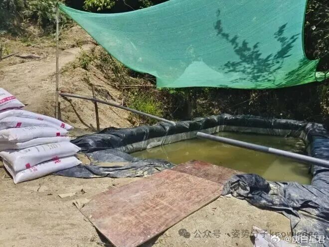 可恨！国家管控之际，却有12人恶意盗采稀土！ 近日，湖南省郴州市汝城县人民法院依