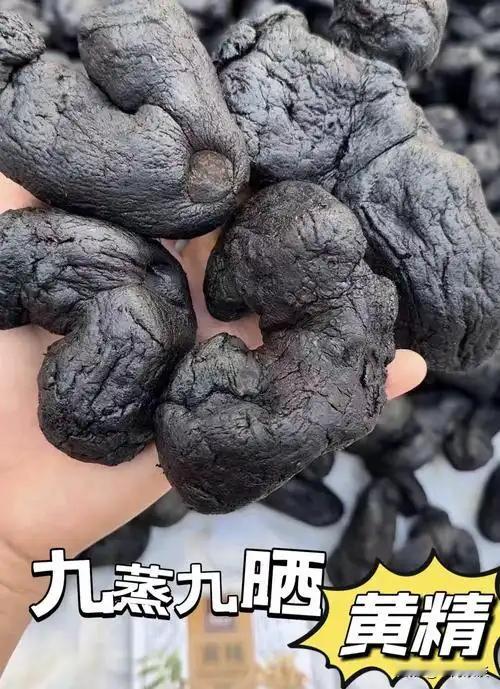 在所有本草门类中，黄精以其独特的滋补功效脱颖而出。它既能补气、又能滋阴，性味甘平