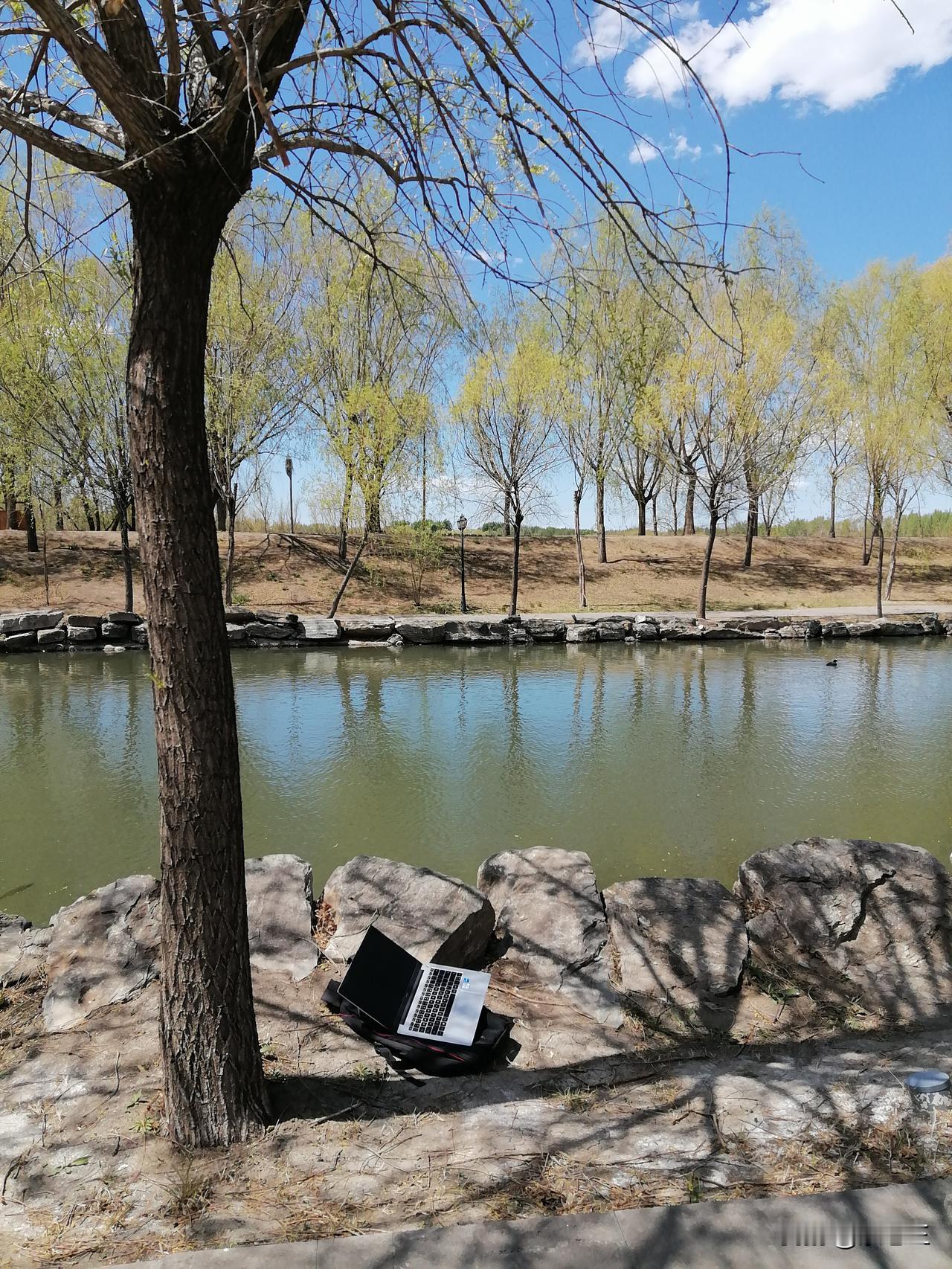 我在江边写了一上午，小鱼和水鸭子陪在我身边，小鸟在我头顶的树枝上歌唱，我仿佛置身
