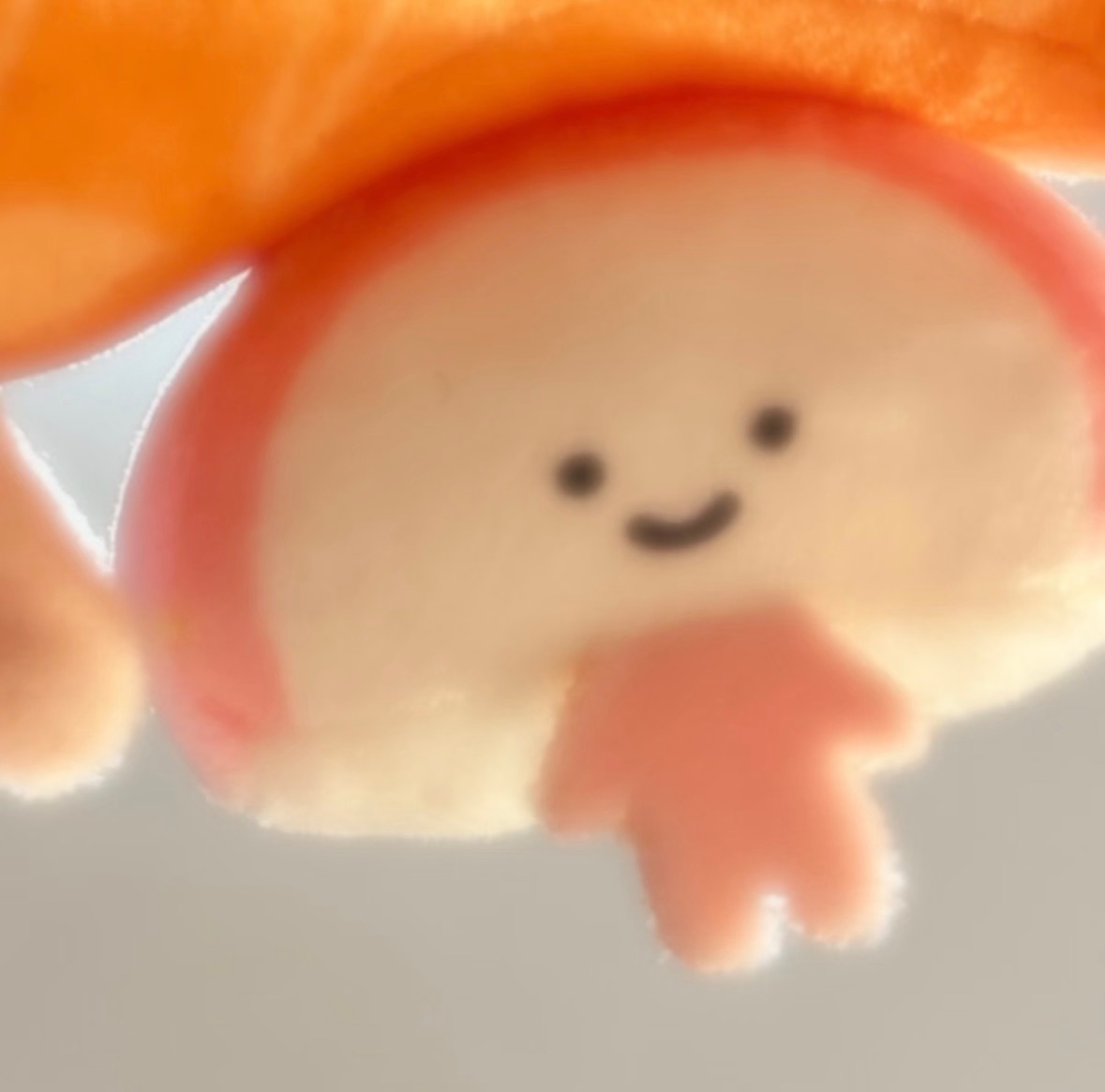 susisusi🍣 