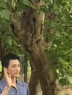 我i人装e就这样 