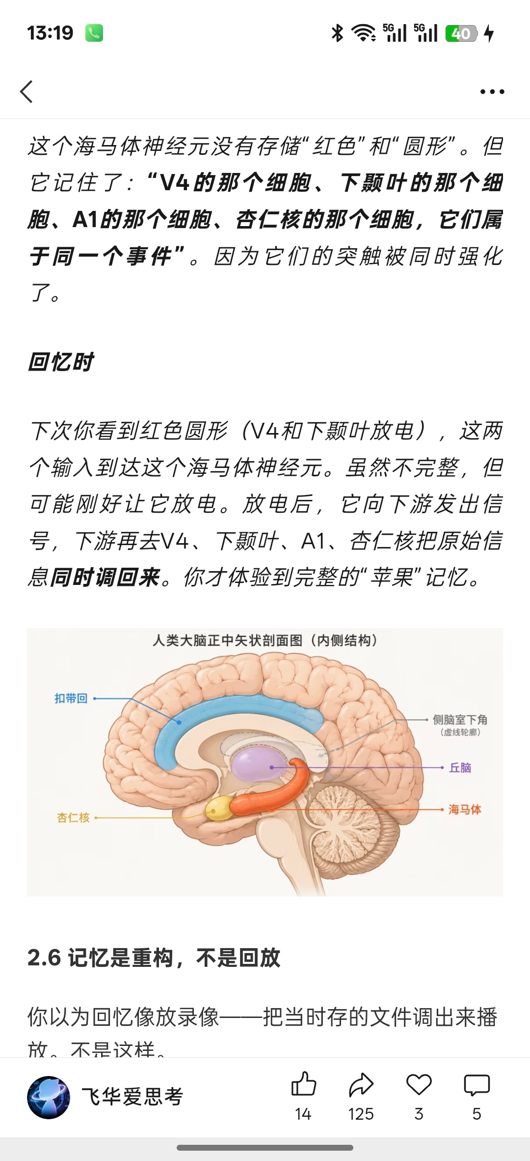 海马体和杏仁核贴着我推测人的记忆会被情绪干扰，如果前额叶跟不上，关于现实的正确的