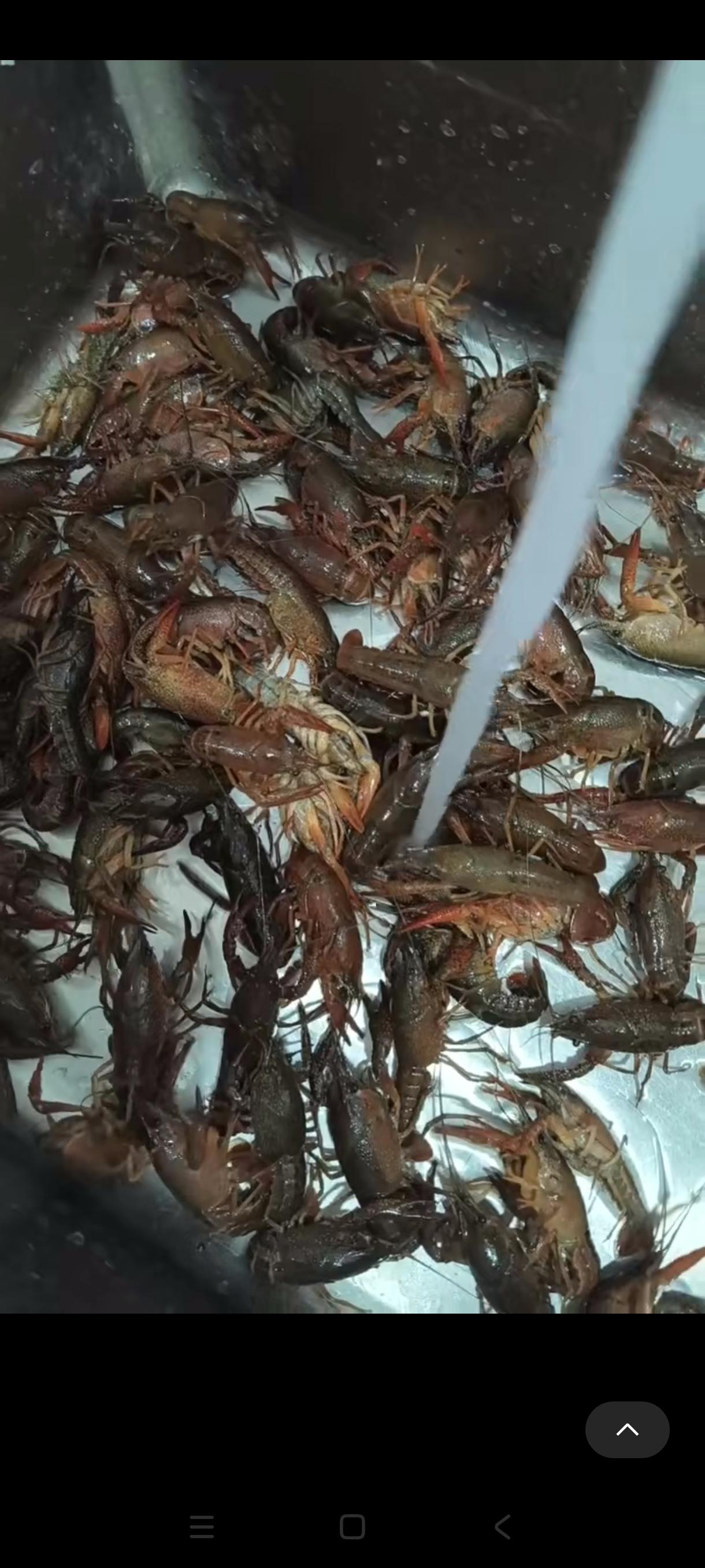 人的一生最大的财富是什么?