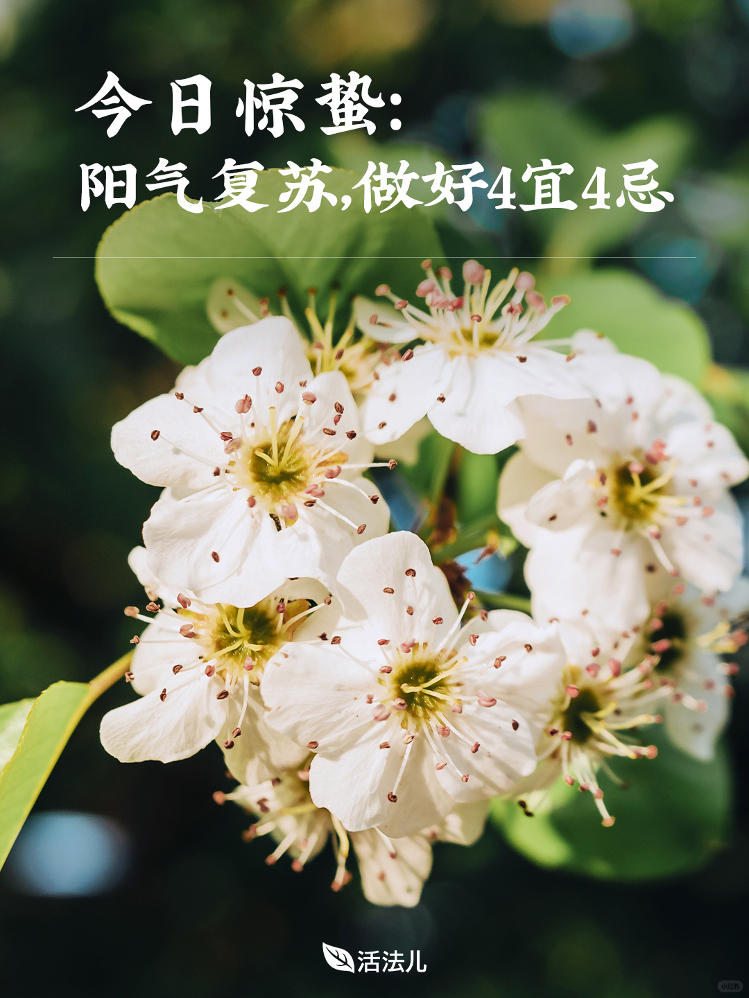 今日惊蛰：一年里阳气最旺的15天