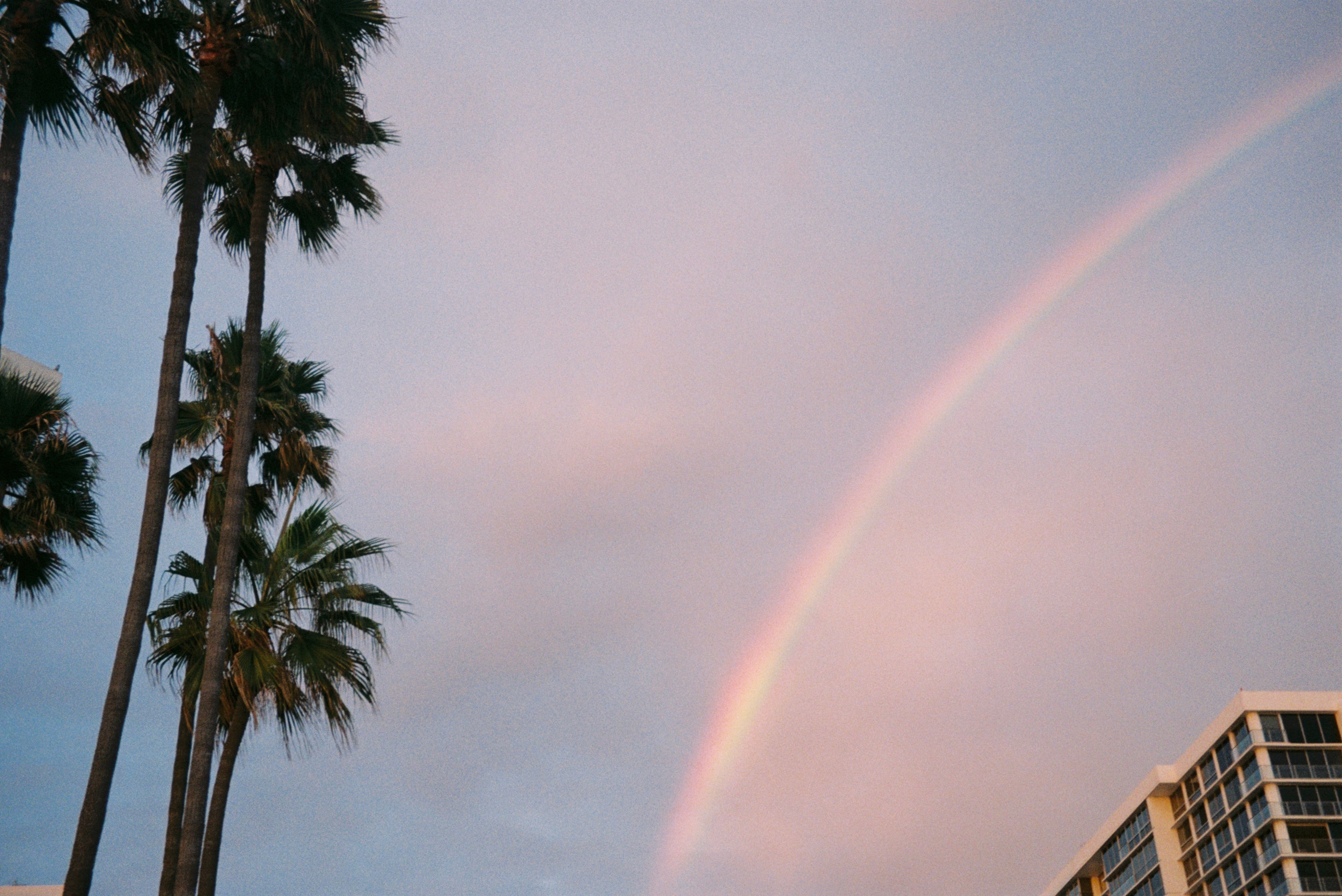 San Diego part II ​​​