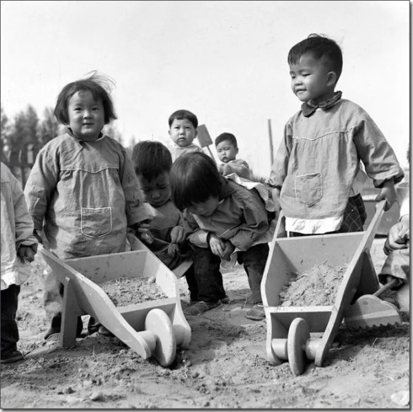 20世纪50年代，学生在劳动课上。 20世纪50年代，教育方针强调“教...