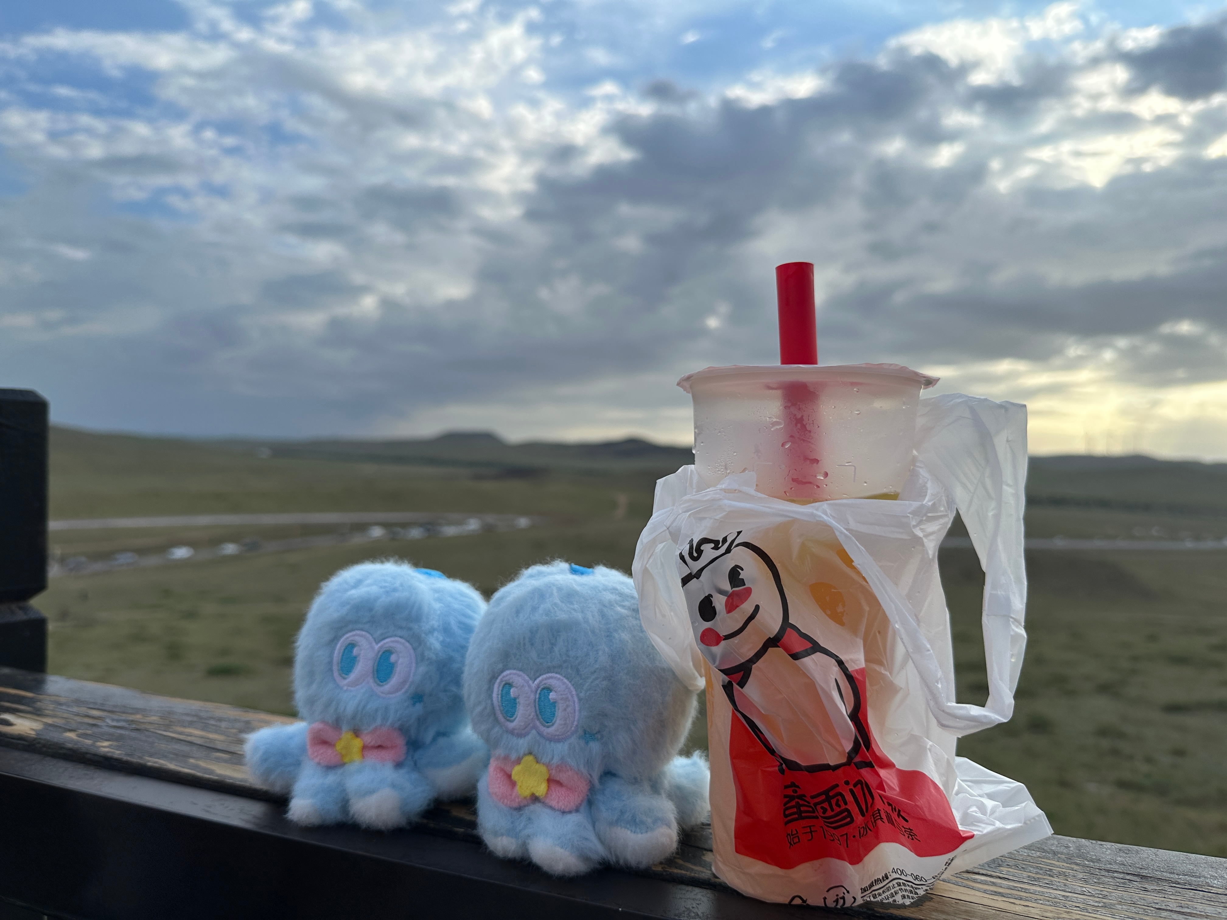 在荒郊野岭看见一家蜜雪冰城不亚于在沙漠看见绿洲 