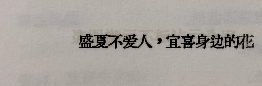 “卧槽，我可真是太爱这句了”
