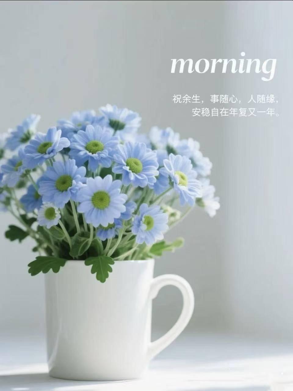 ⁎͜:⁛ 🌿ɴɪᴄᴇ ᴅᴀʏᥫᩣ
清喜于时光，安稳于日常，
不慌不忙，一程自有