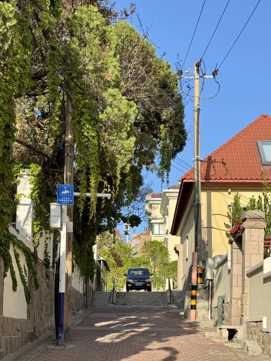 9.26实况～青岛老城区city walk看海路线🌊