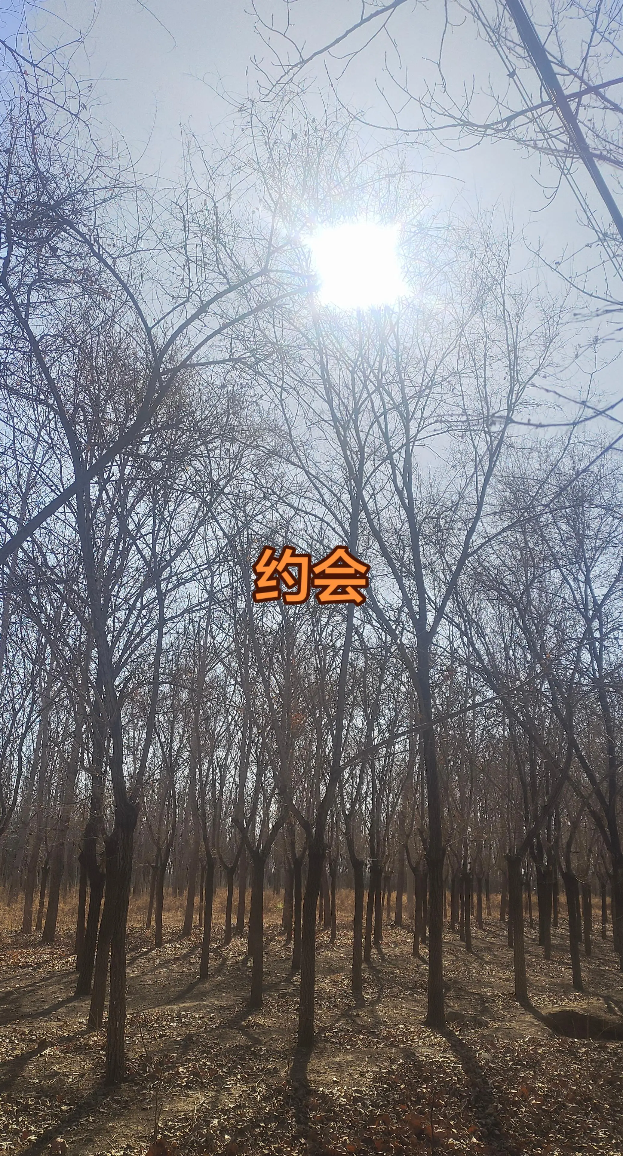原生态纯自然雪景
