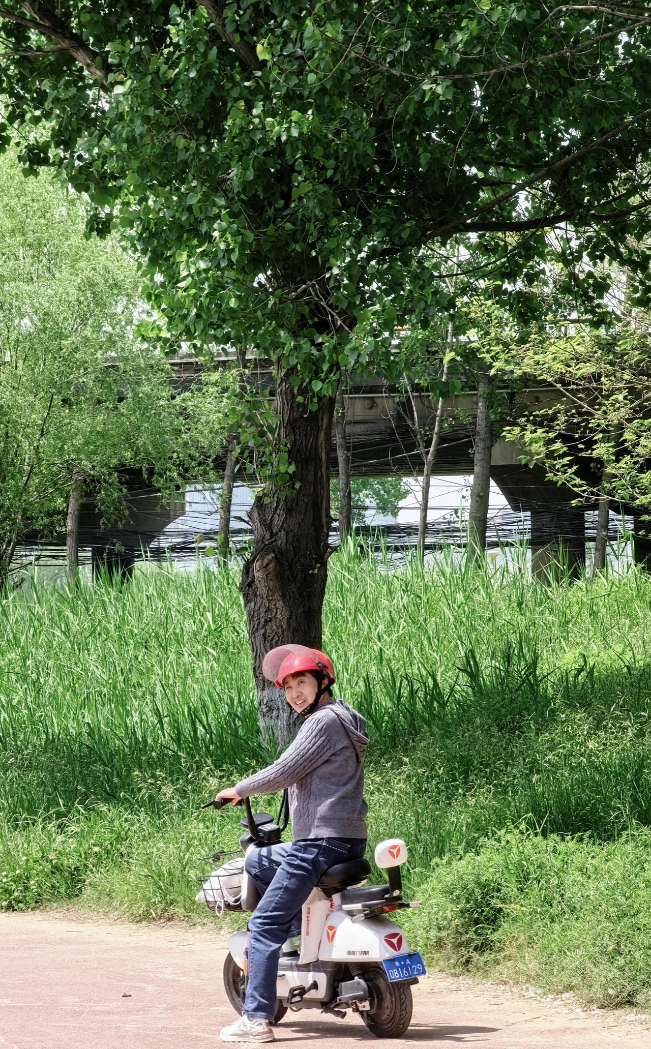 风是绿的，空气是甜的，骑上小电驴闯进春天的怀抱，生活中的小确幸，不过就是在树荫下