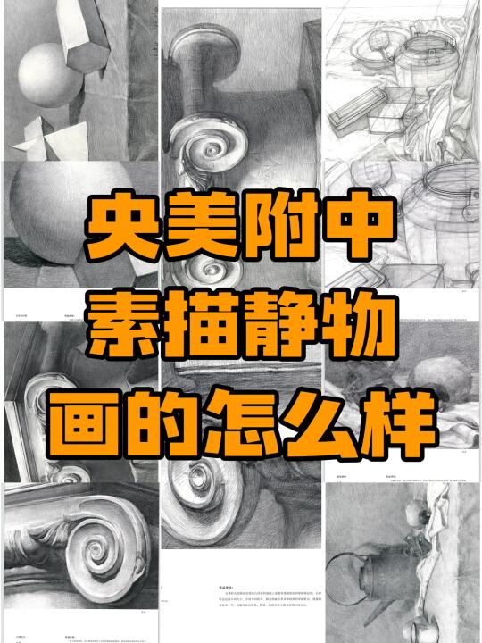 央美附中学生作品分享