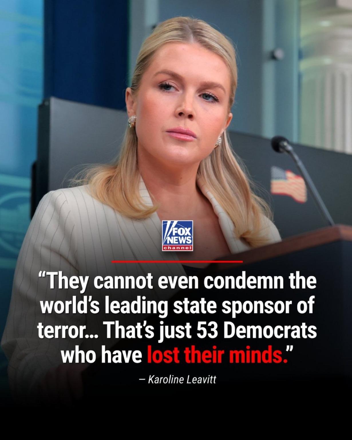 “他们疯了”

白宫新闻秘书卡罗琳·莱维特猛烈抨击了53名投票反对将伊朗列为世界