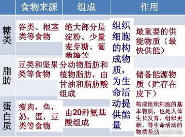 食物中的主要营养成分，有哪些？答案；糖、脂肪、蛋白质、维生素、无机盐和水六大类；