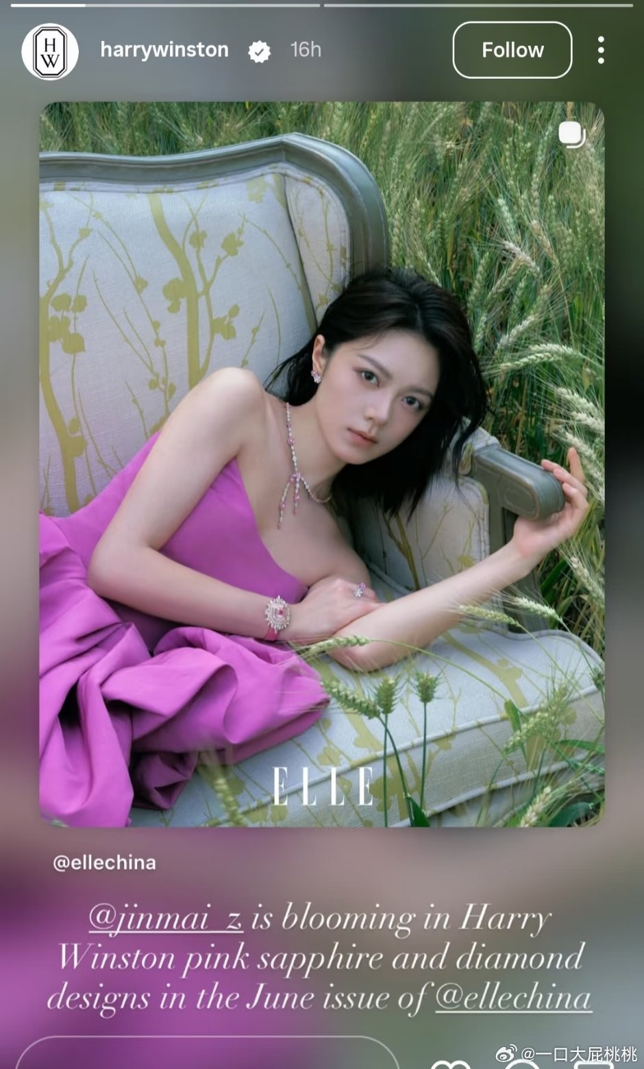 Harry Winston的官方 ins认领赵今麦杂志，这牌子就是不要代言人，推