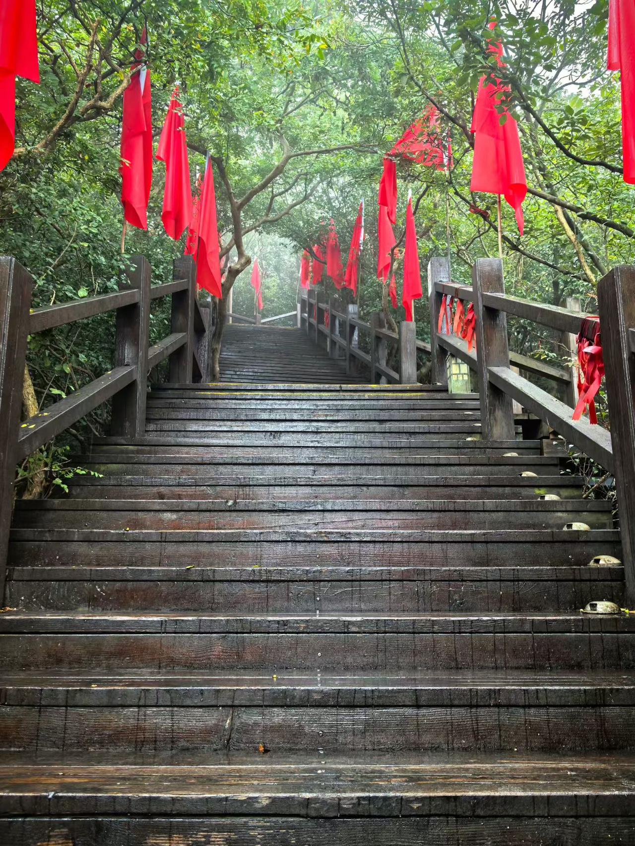 这个国庆假期
准备怎么过？

我准备回老家一趟，
大概三到四天吧！

一来是陪姑