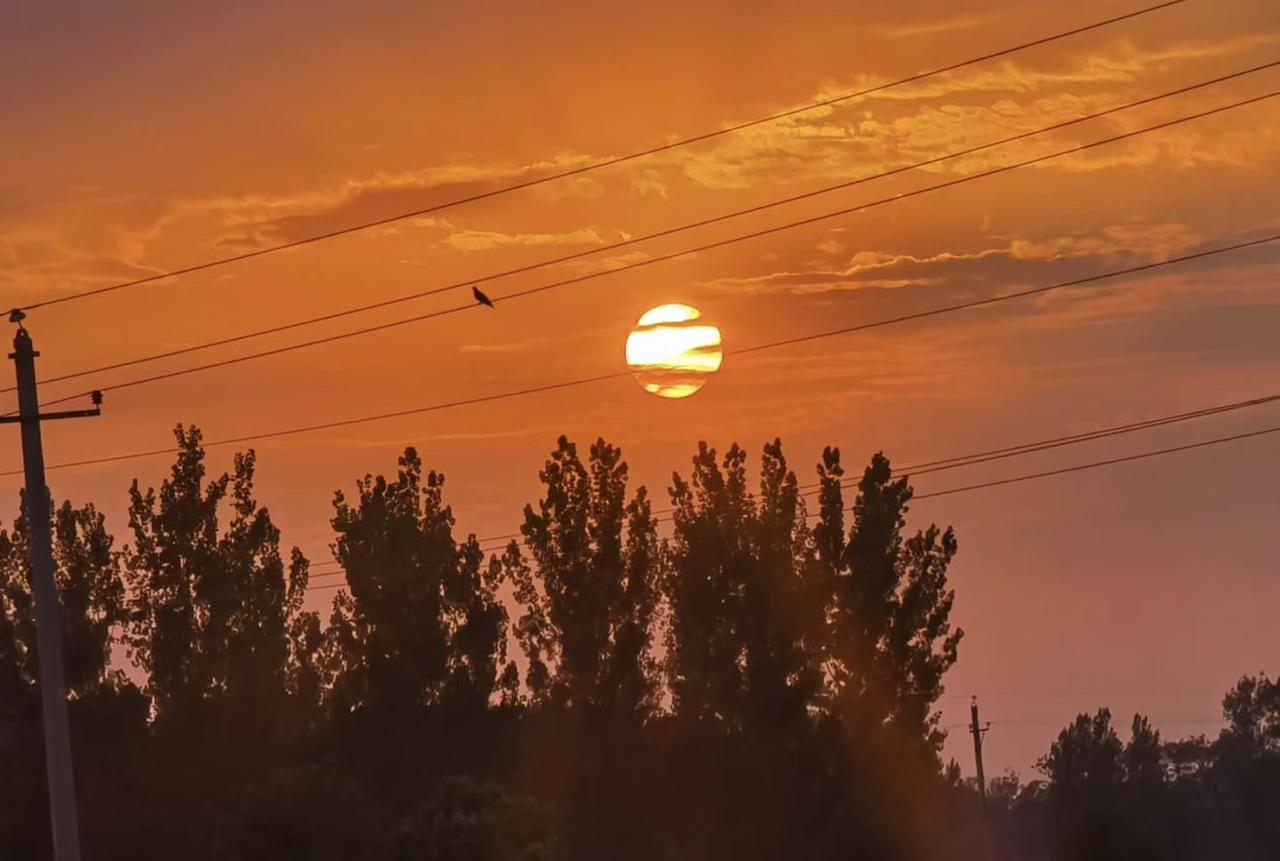 这是不是很多人的现状，让自己进入了一个无解的心理循环中？

每一次朝阳升起的时候