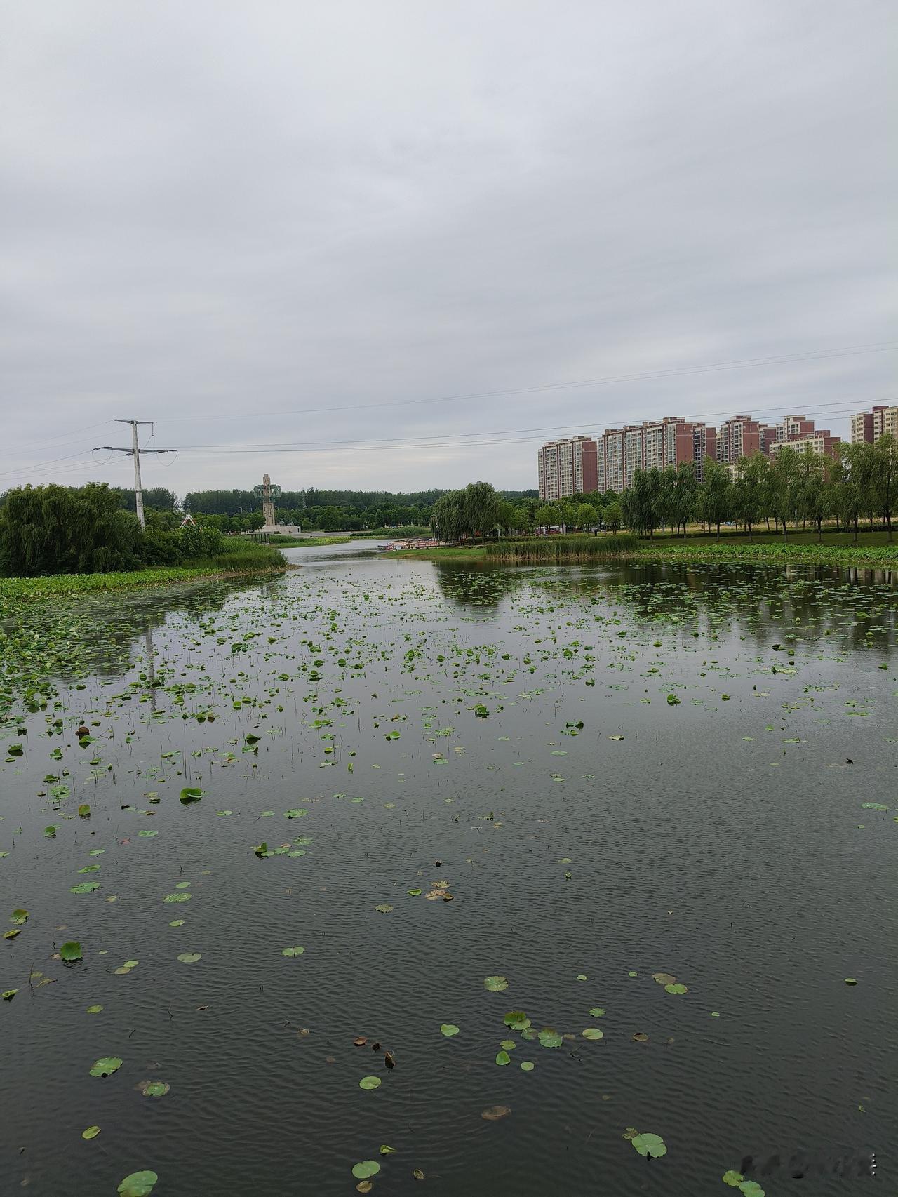 在我看来，印度一到雨季的城市街景，离谱程度真的超出想象。就拿孟买来说，表面看是路