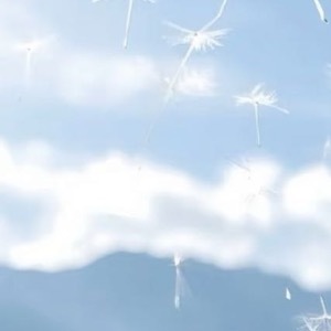 种植蒲公英：1.选容器：选择底部有排水孔的花盆或种植箱。2.准备土壤：选择疏松、