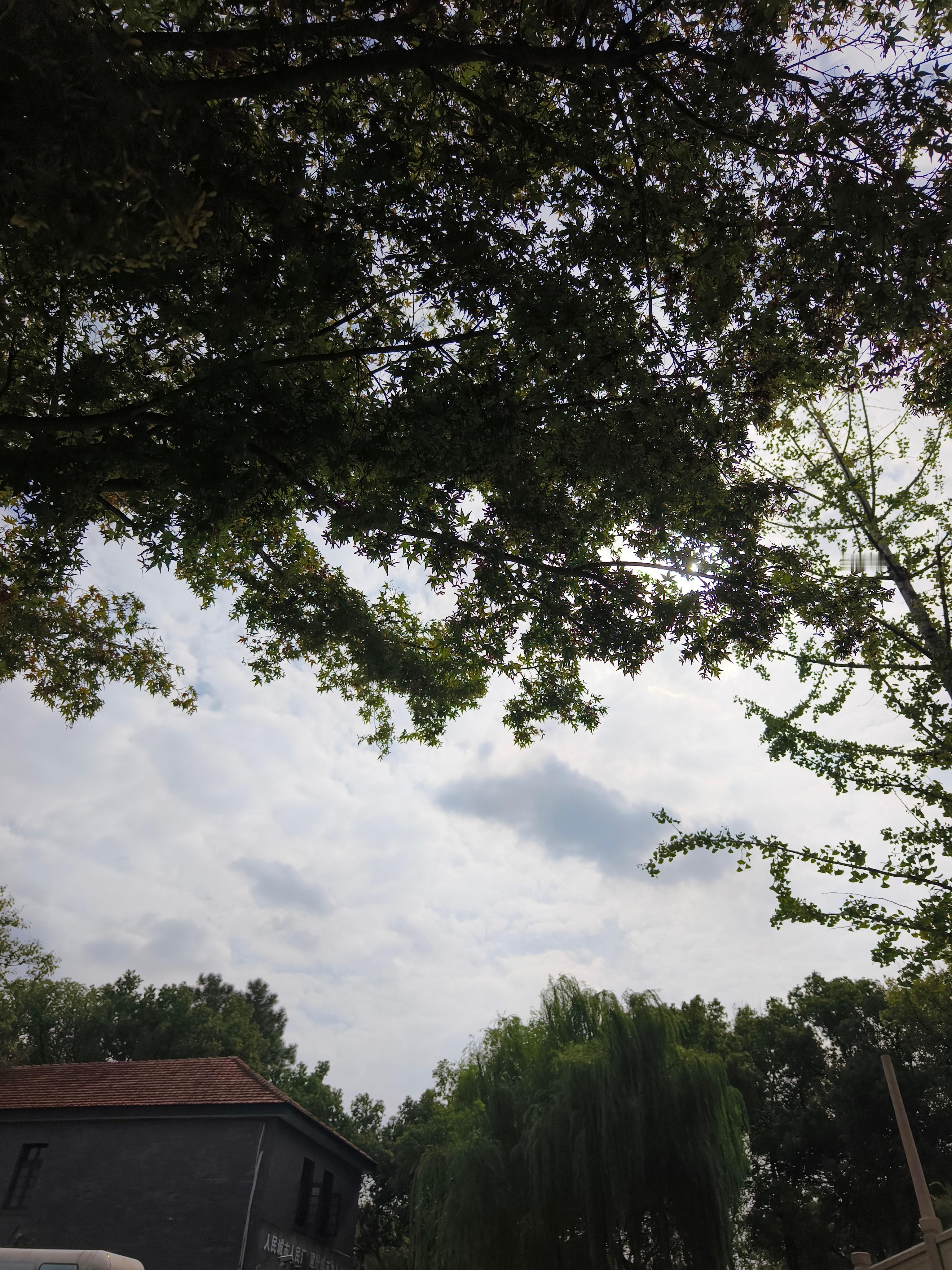 最近的温度不冷不热，到户外走走太舒服啦！ ​​​