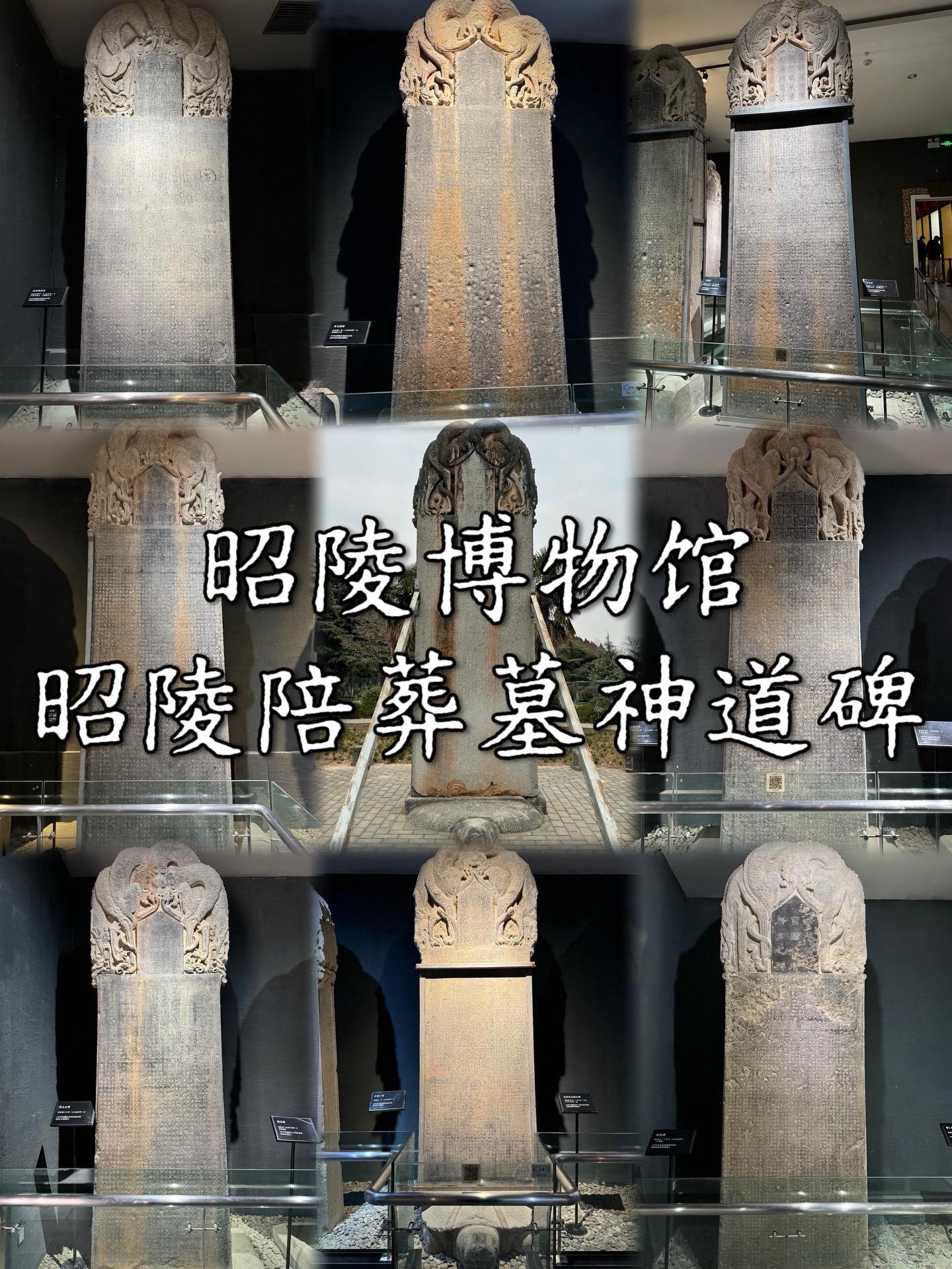 昭陵博物馆·昭陵陪葬墓神道碑。昭陵陪葬墓分布于唐太宗李世民昭陵周边，据...