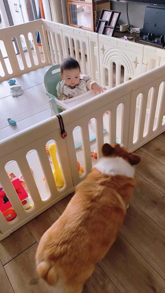 有的狗屎都想尝尝