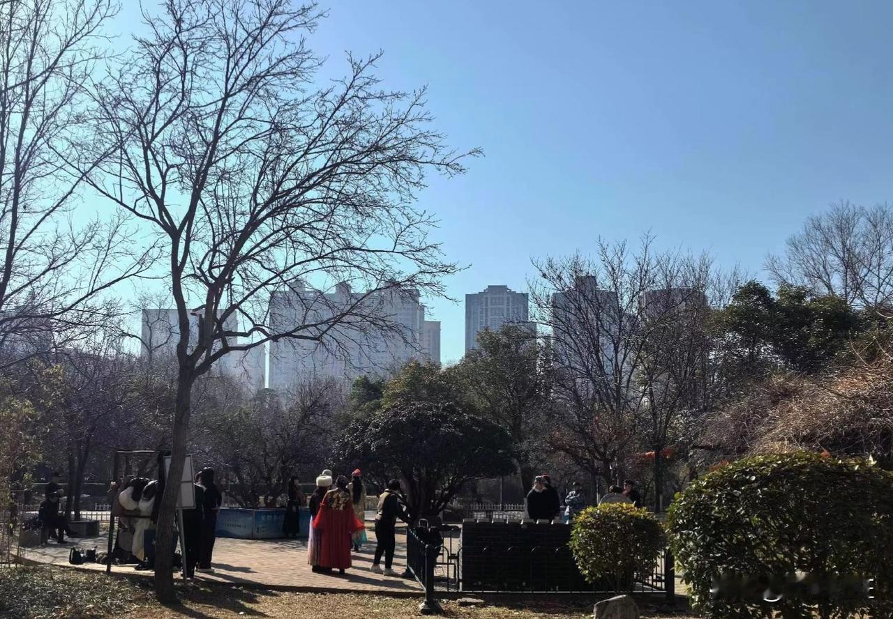 今天驻马店是个好天气，今天是正月十五元宵节。过完这一天，老家的春节就算过完了！以