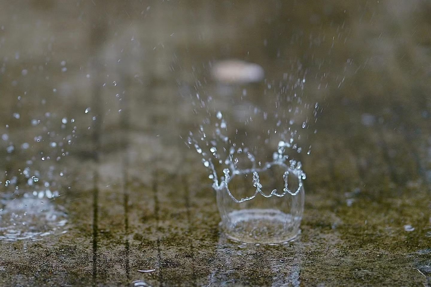 雨天，有雨做得皇冠👑。还有苏轼的诗，黑云翻墨未遮山，白雨跳珠乱入船。卷地风来忽