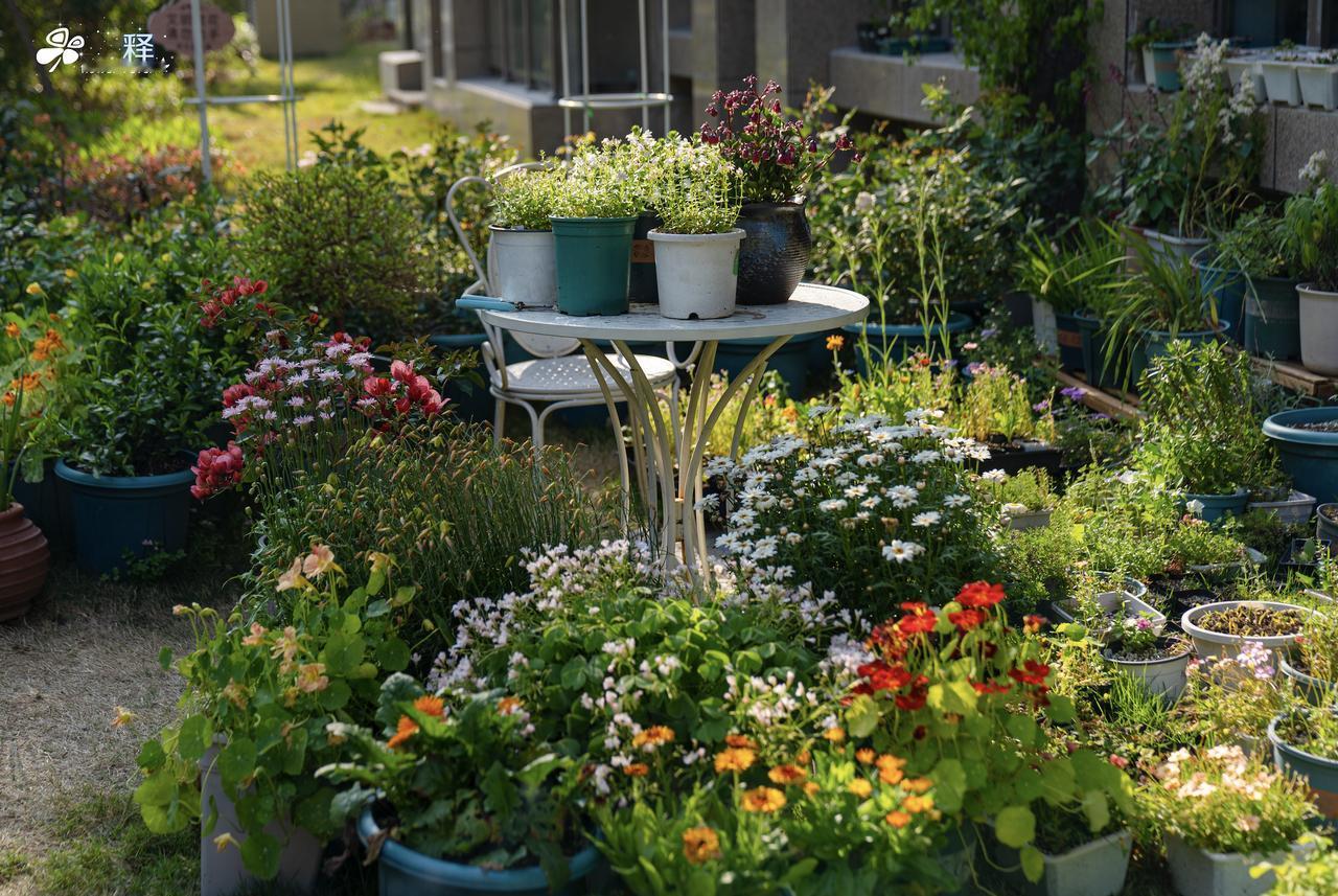 人生的退路可能是鹤岗
我也风光过，早年产品经理，月薪最高15k。做自媒体后高光时