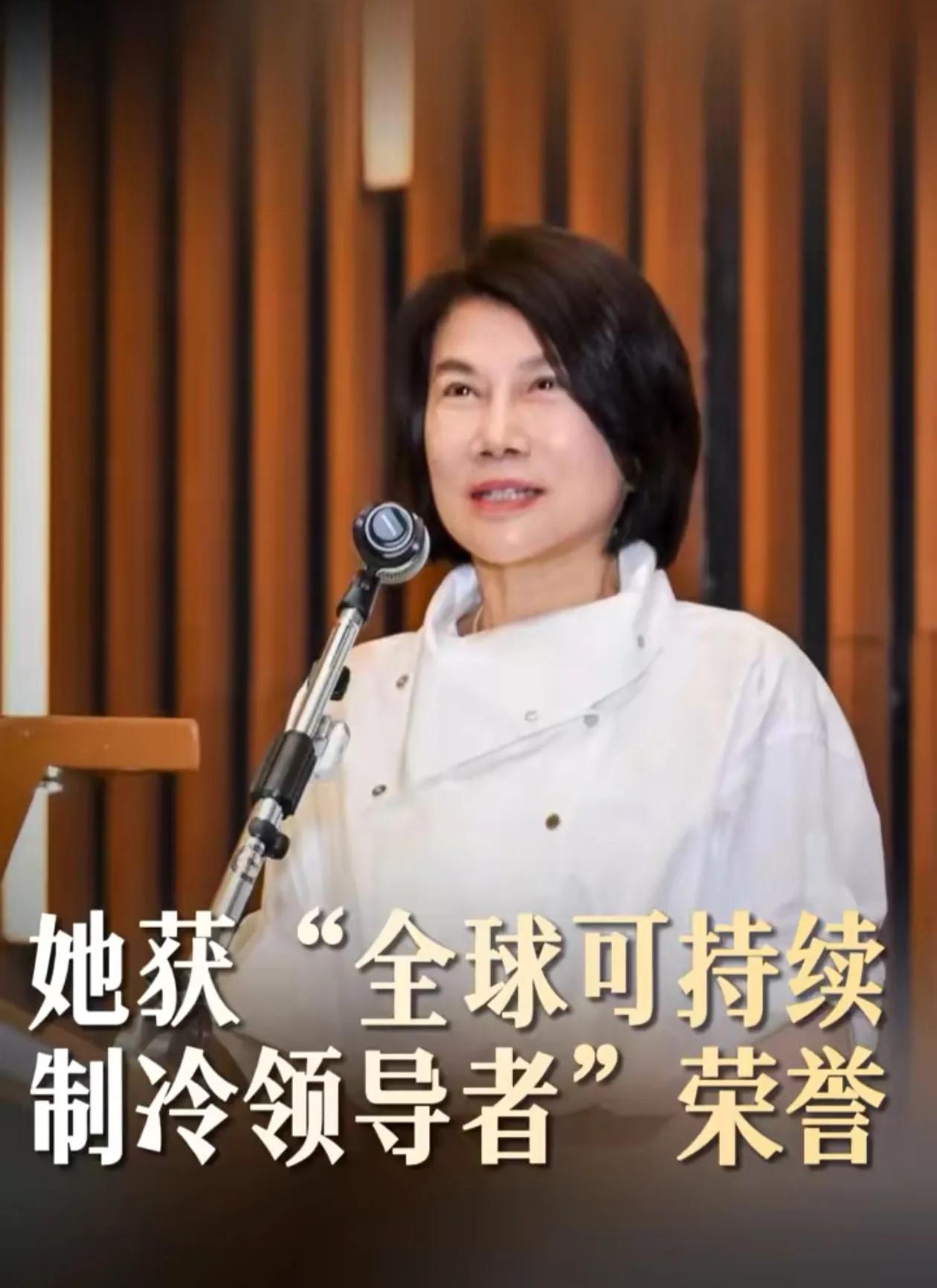 不得不说格力还是空调的老大，不然这个国际大奖不会给董明珠。这几年格力面临的挑战确