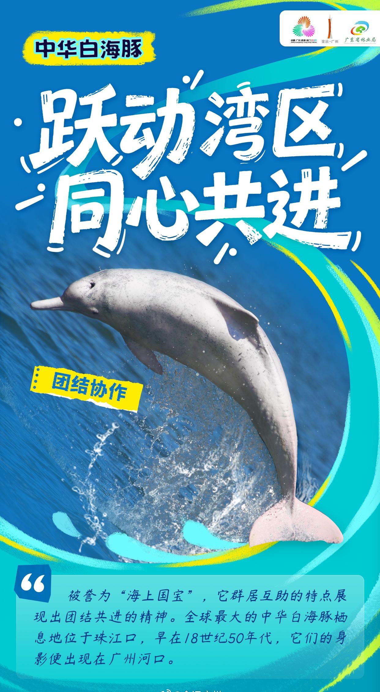 【动物“市民”迎全运[团圆时刻]】本届全运会太火热啦！不仅全民期待，连曾在广州“