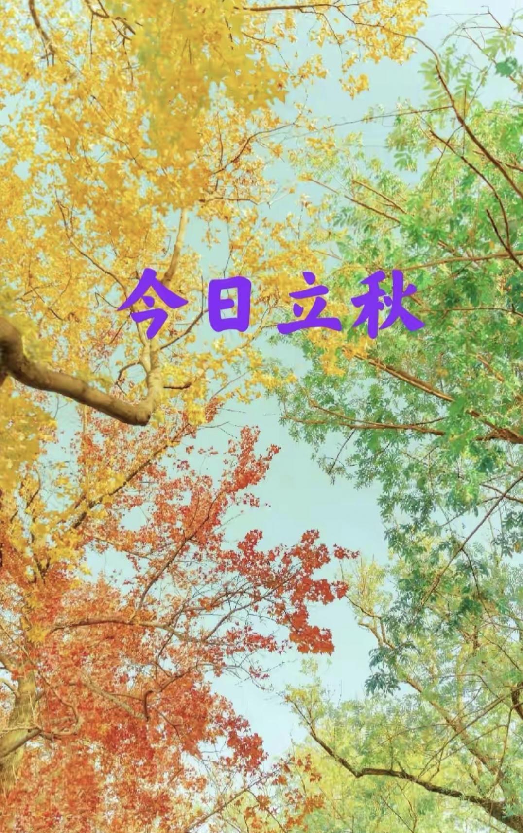 这句农谚确实很有意思：“冷不冷，就看立秋”。意思是说，立秋这一天的天气状况，往往