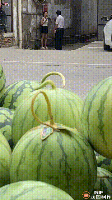 有谁知道这西瓜是什么品种吗？看起来很好吃[吃瓜群众]