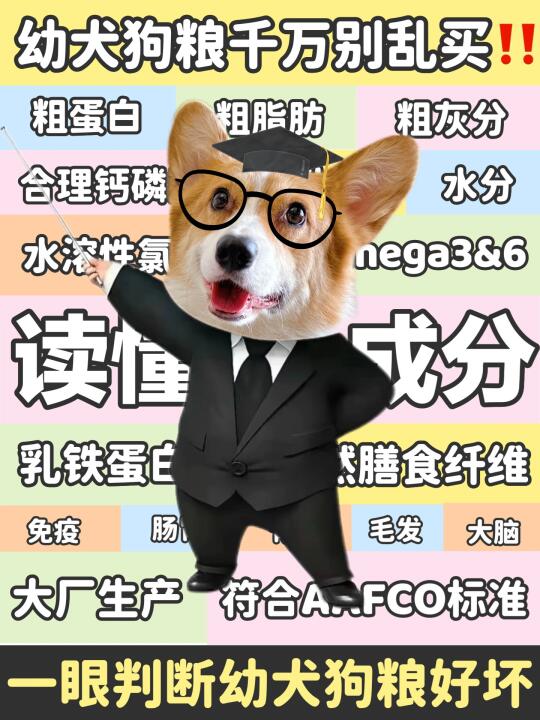 了解幼犬营养需求✅幼犬狗粮这么选太轻松‼️