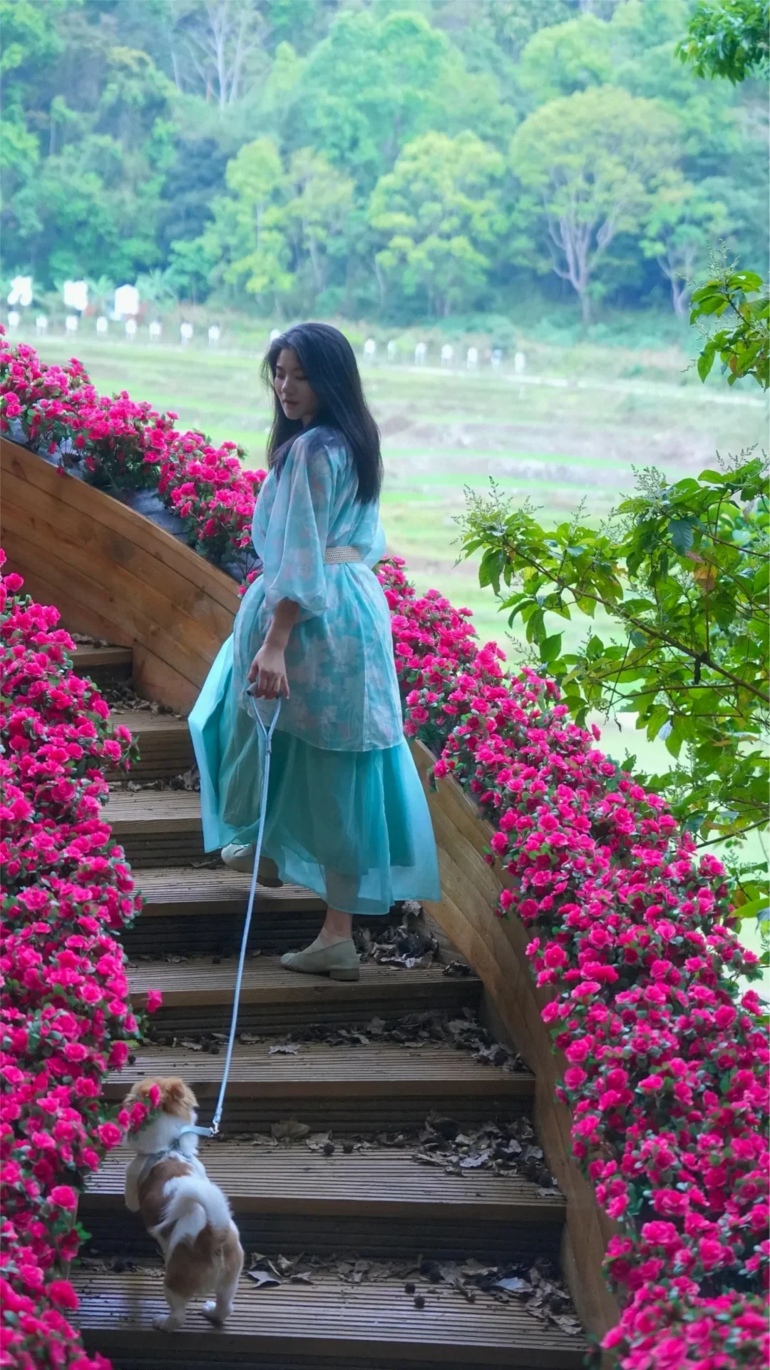 ❗️海南中线被严重低估的绿野仙踪🍃