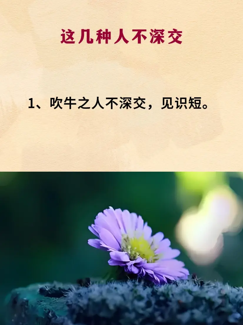 处事智慧 智慧人生 提升自己 人际关系