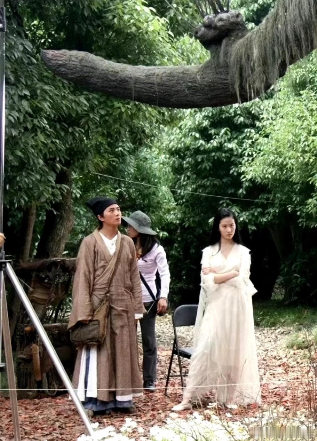 刘亦菲倩女幽魂时期 