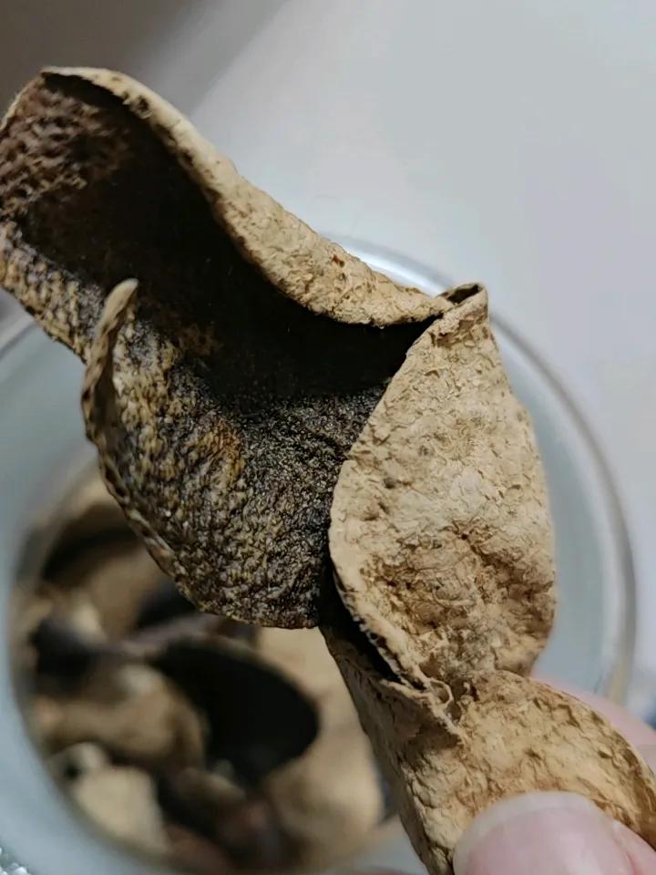 新会十年陈皮这个是真的吗？