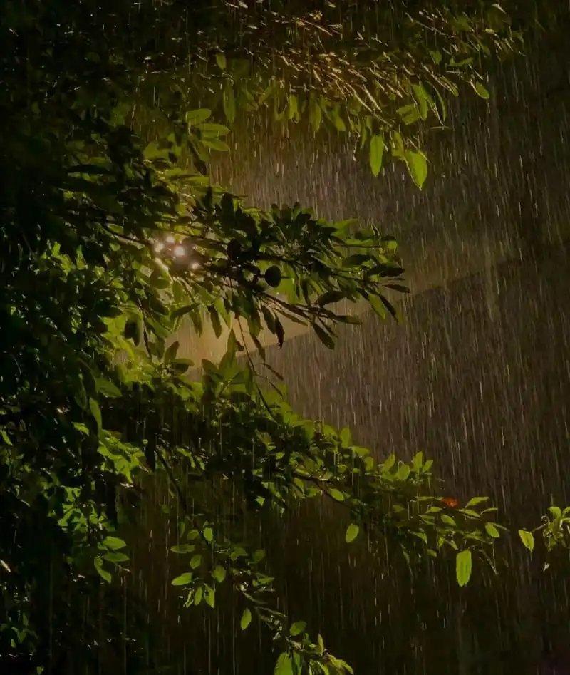 听这小城夜雨，下得不急不躁。伏天何事为美?当属清凉一觉。 