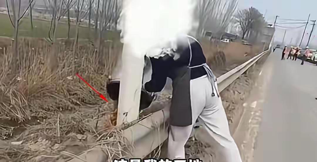 济南的这位“倒饭姐”，估计肠子都悔青了，自己的这个动作，不仅仅让自己社死，还把自