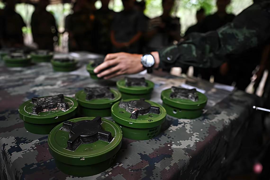 ​泰国和缅甸之间存在一块非常危险的区域，在两国之间的交界处存在着大量的地雷区，这