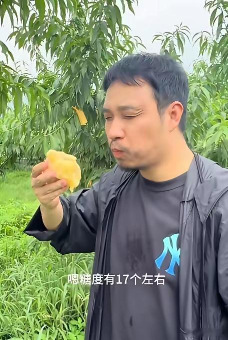 大曾子周末继续卖桃子补仓，老婆也帮忙带货曾娃快亏100个了，没办法周末只能带着老