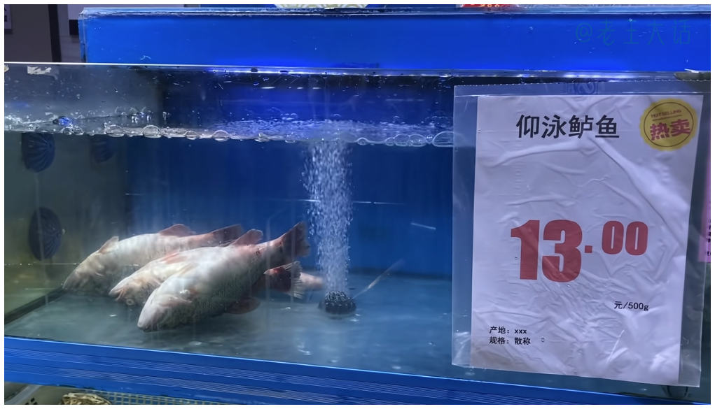 不懂就问，仰泳的鱼比蛙泳的鱼贵吗？