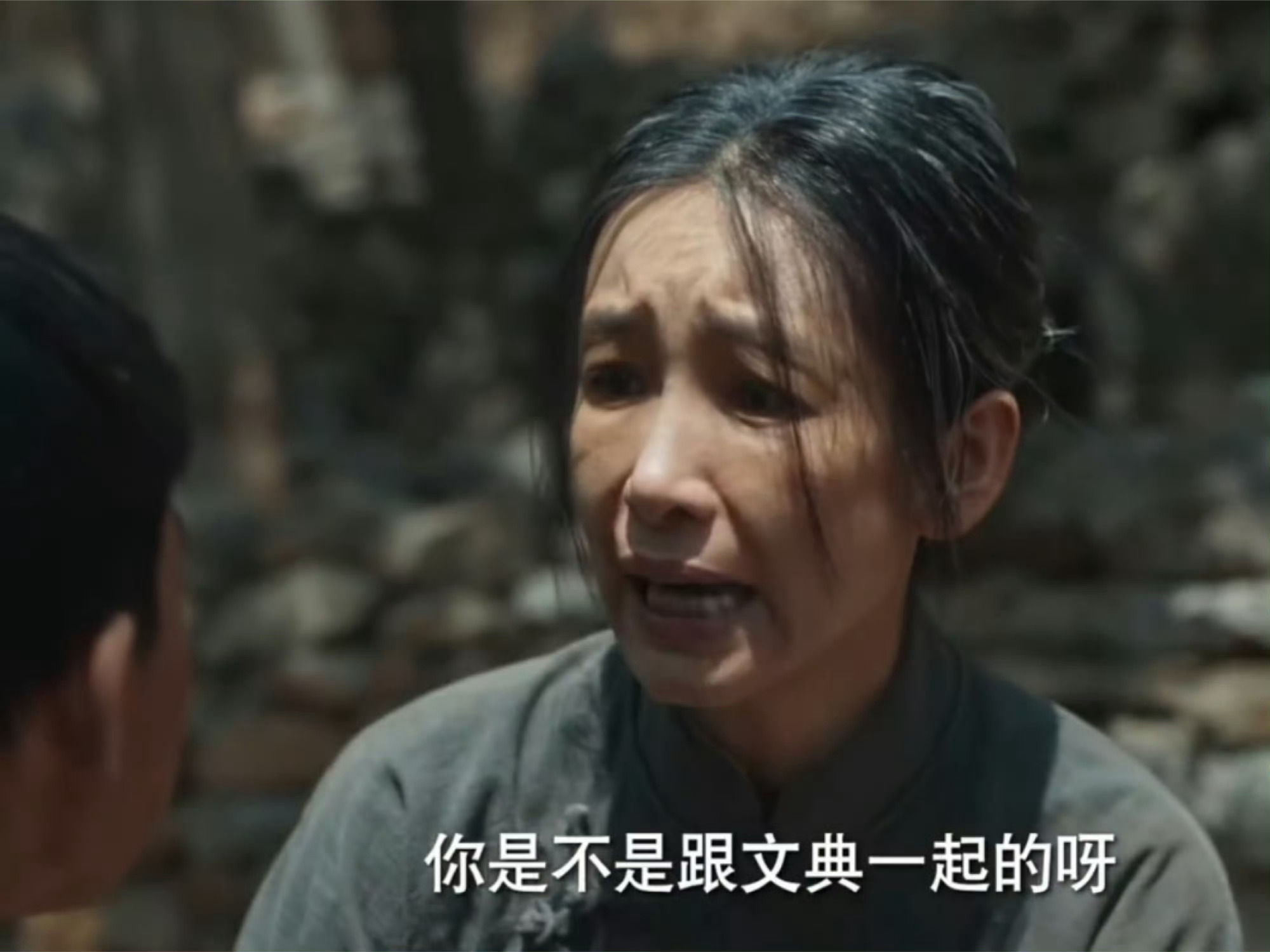 费家嫂子疯了 费左氏的执念在猝不及防中就这么崩塌了，得知费文典牺牲后，仿佛自己支