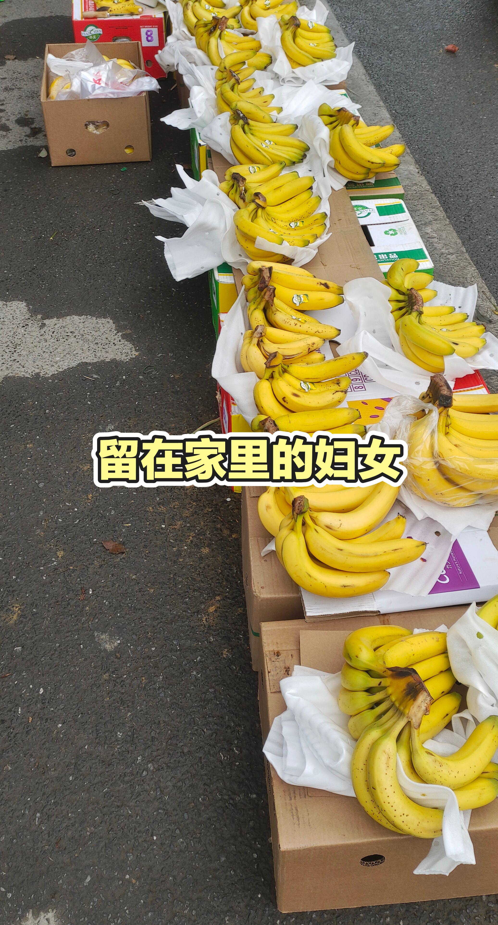 每日分享