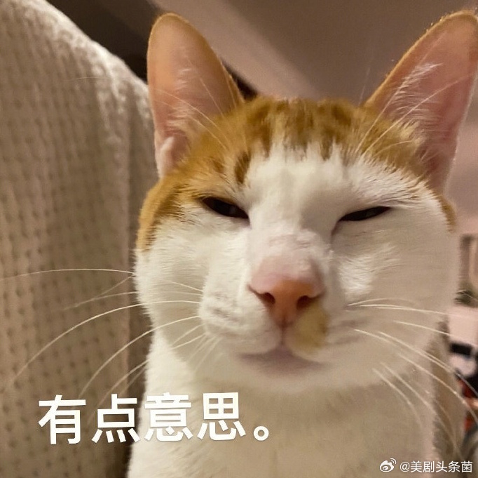 今天追了什么剧 ​​​